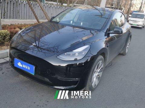 2021 Tesla Model Y Standard endurance rear-wheel drive - ავტომობილი ჩინეთიდან
