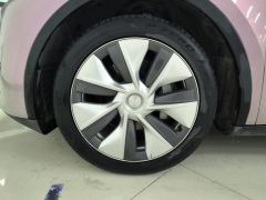 Tesla Model Y 545km Rear-Wheel Drive Edition - photo 6