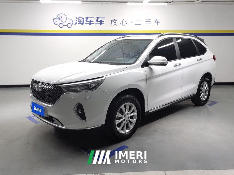 Haval M6 PLUS 1.5T Luxury Version - car from China