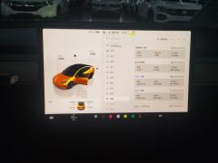 Tesla Model 3 556km Rear-Wheel Drive Edition - ფოტო 20