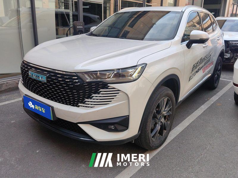 Haval H6 PHEV DHT—PHEV 110 - car from China