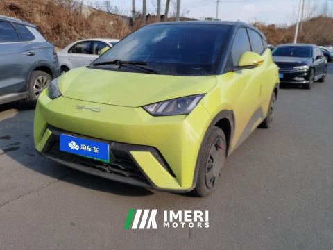 2023 BYD Seagull 305km Vitality Edition - ავტომობილი ჩინეთიდან