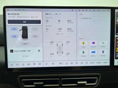 Li Auto Li MEGA 710km Home Edition - ფოტო 6