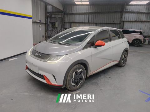 2021 BYD Dolphin 405km Stylish Edition - ავტომობილი ჩინეთიდან