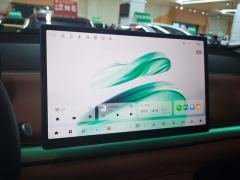 Leapmotor C10 EV Edition 530km 530 Edition - photo 17