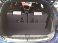 BYD Tang EV 635km 4WD Flagship Edition - фото 7