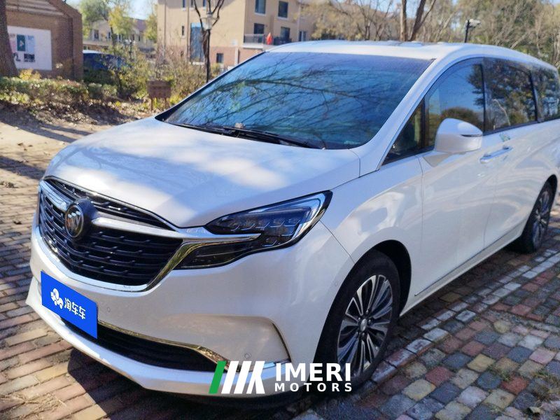 Buick GL8 ES Luxury Edition 653T Flagship 7-seater - car from China