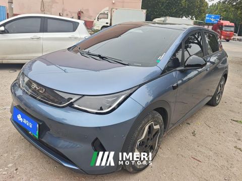 2025 BYD Dolphin Smart Driving Edition 420km Free Version - ავტომობილი ჩინეთიდან
