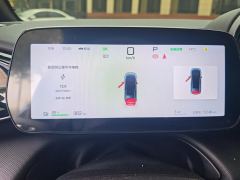 BYD Dolphin Smart Driving Edition 420km Free Version - ფოტო 20