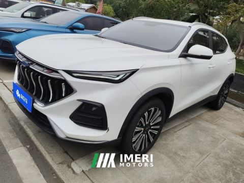 2021 Oshan X5 1.5T Luxury Version - ავტომობილი ჩინეთიდან