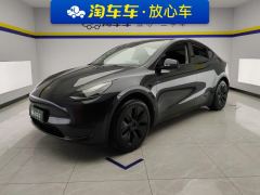 Tesla Model Y 554km Rear-Wheel Drive Edition - ფოტო 1