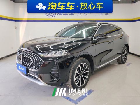 2021 Great Wall Mocha fuel Weipai Mocha Fuel Oil 2.0T Two-Wheel Drive Special Edition