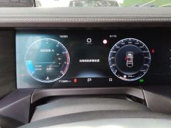Tank 300 Off-Road Edition 2.0T Conqueror - ფოტო 20