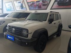 Tank 300 Off-Road Edition 2.0T Conqueror - ფოტო 1