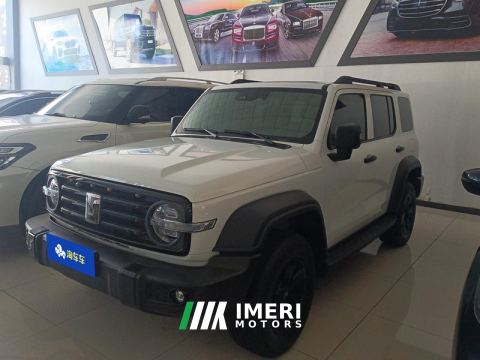 2021 Tank 300 Off-Road Edition 2.0T Conqueror - car from China