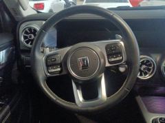 Tank 300 Off-Road Edition 2.0T Conqueror - ფოტო 18