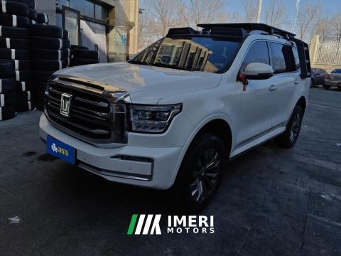 2023 Tank 500 New Energy 2.0T Hi4-T - car from China