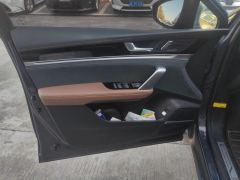 BYD Tang DM-i 1.5T 112KM Precursor Honorable Type - photo 12