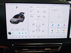 Li Auto L9 Pro - ფოტო 20