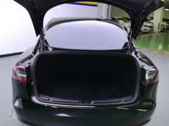 Tesla Model 3 Standard Range Edition 3D6 - ფოტო 7