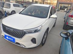 Haval M6 PLUS 1.5T Version - фото 1