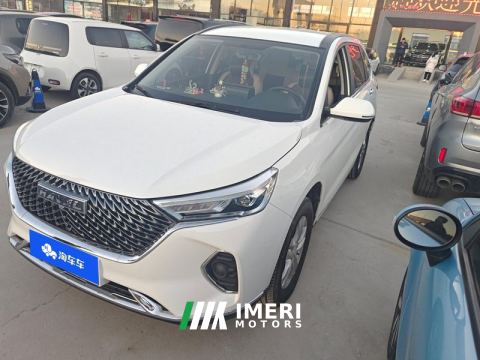 2021 Haval M6 PLUS 1.5T Dual-clutch Elite Intelligent Connected Type