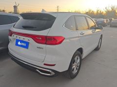 Haval M6 PLUS 1.5T Version - фото 2