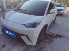 BYD Seagull 305km Free Version - photo 1