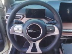 BYD Seagull 305km Free Version - photo 18