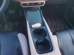 BYD Seagull 305km Free Version - photo 19