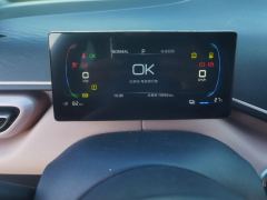 BYD Seagull 305km Free Version - photo 20
