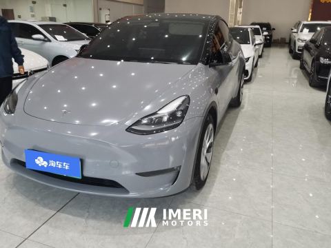 2021 Tesla Model Y Standard endurance rear-wheel drive - ავტომობილი ჩინეთიდან