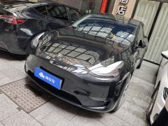 Tesla Model Y 688km Long Range AWD - ფოტო 1