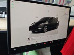 Tesla Model Y 688km Long Range AWD - ფოტო 17