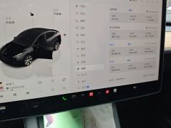 Tesla Model Y 688km Long Range AWD - ფოტო 20
