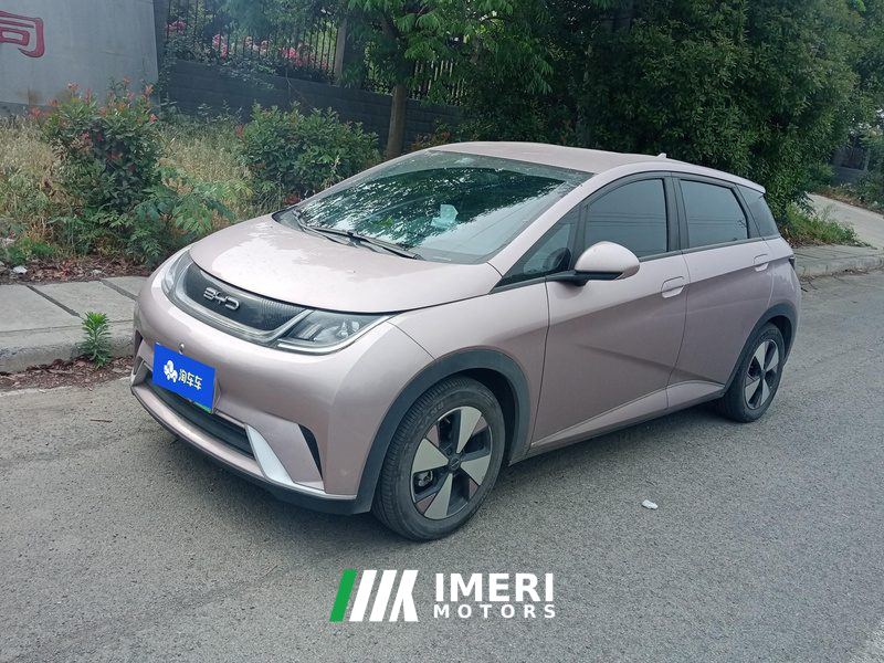 BYD Dolphin 420km Free Version - ავტომობილი ჩინეთიდან