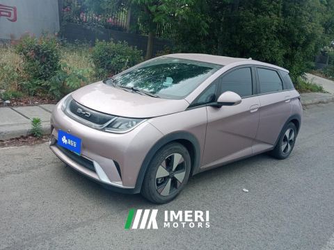 2023 BYD Dolphin 420km Free Version - ავტომობილი ჩინეთიდან