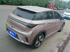 BYD Dolphin 420km Free Version - ფოტო 2