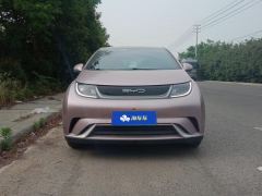 BYD Dolphin 420km Free Version - ფოტო 3