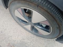 BYD Dolphin 420km Free Version - ფოტო 6