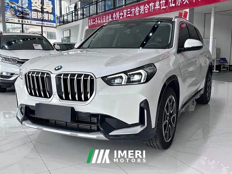 BMW X1 sDrive25Li X Design Package - car from China