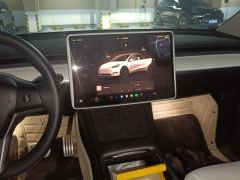 Tesla Model Y 615km Performance High-Performance AWD Version - фото 17