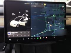 Tesla Model Y Standard endurance rear-wheel drive - ფოტო 20
