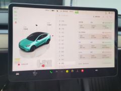 Tesla Model Y 660km Long Range AWD - photo 20
