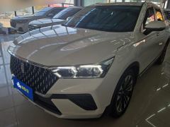 Bestune T77 PRO 280TID Version - photo 1