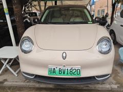 Ora Great Wall Good Cat 401km Standard Range Edition - ფოტო 3