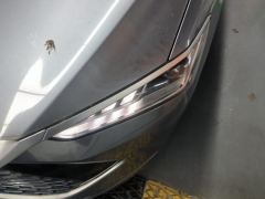 BYD Qin PLUS DM-i 55km Flagship - photo 4