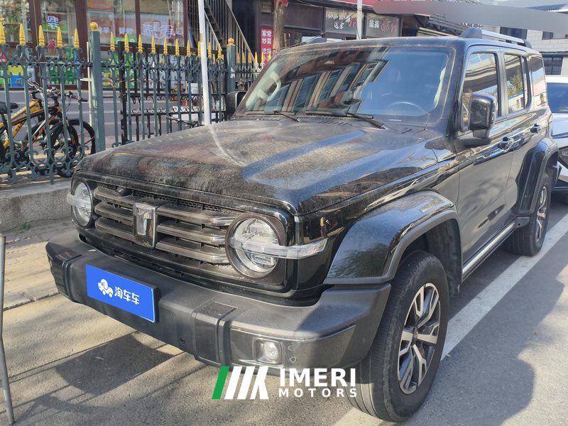Tank 300 City Edition 2.0T Stylish - car from China