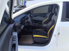 GAC Shadow Leopard 270T J15 Edition - ფოტო 14