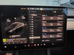 Tesla Model Y 545km Rear-Wheel Drive Edition - ფოტო 20
